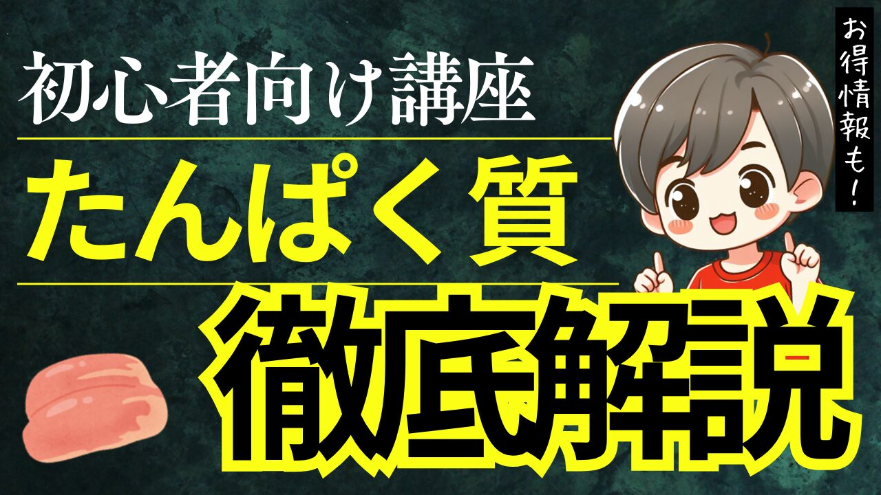 【初心者向け】たんぱく質とは？種類・必要量・おすすめ食材まで徹底解説